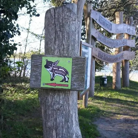 Paula Am Klostersee Urlaub Mit Hund By Interhome